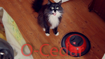O-Cedar O'Duster 'Feline Friend'