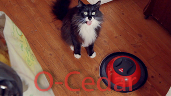O-Cedar O'Duster 'Feline Friend'